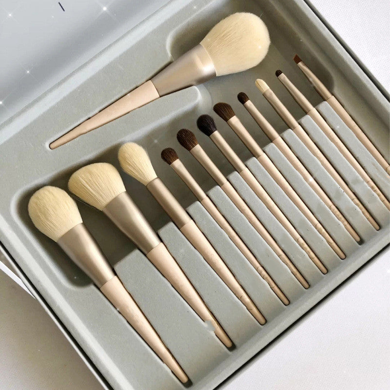 Set Of 12 Makeup Brushes Set Of 12 Makeup Brushes